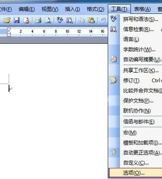 Word 2003设置单位厘米的操作方法截图