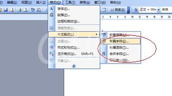 Word 2003中实现方框内打钩的操作步骤截图