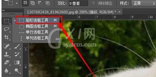 photoshop cs6为图片加框的操作步骤截图