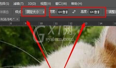 photoshop cs6为图片加框的操作步骤截图