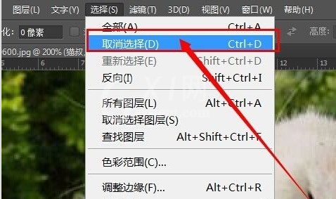 photoshop cs6为图片加框的操作步骤截图