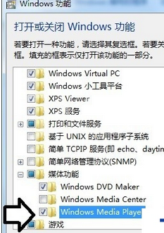 Windows Media Player修复播放器的操作教程截图