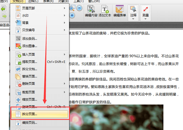 迅捷pdf编辑器拆分PDF页面的操作教程截图