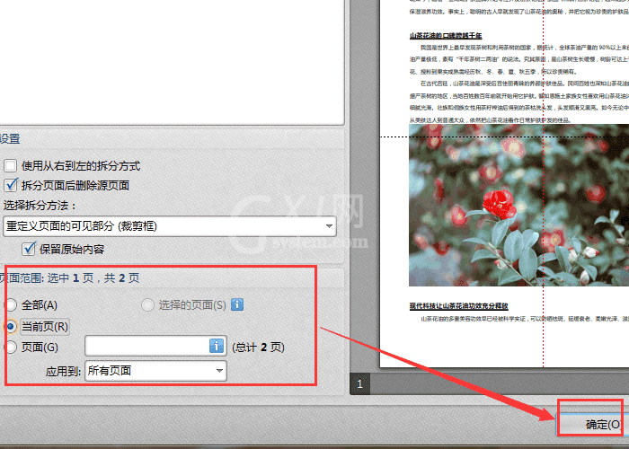 迅捷pdf编辑器拆分PDF页面的操作教程截图