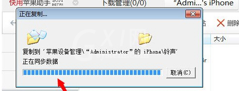 快用苹果助手为iPhone手机设置铃声的操作教程截图