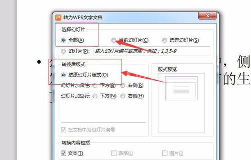 PowerPoint Viewer转成word文件的详细操作教程截图