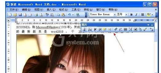 Microsoft Office 2003设置四周型环绕图片的详细操作教程截图