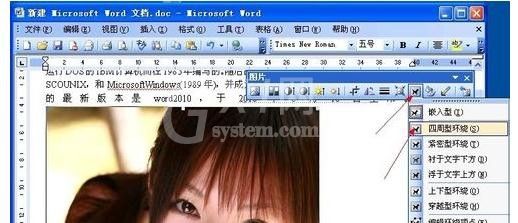 Microsoft Office 2003设置四周型环绕图片的详细操作教程截图