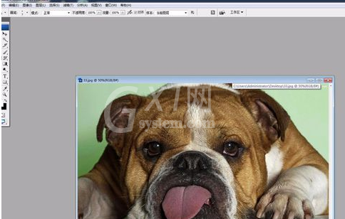 Adobe Photoshop中液化工具的详细使用步骤截图