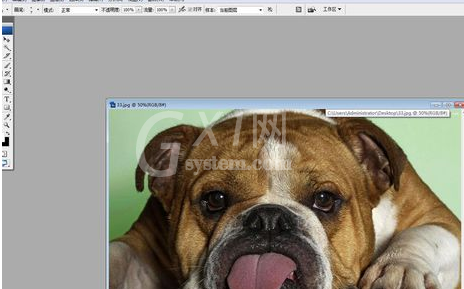 Adobe Photoshop中液化工具的详细使用步骤截图