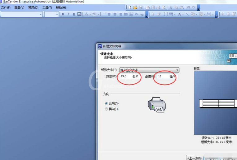 BarTender双排标签纸打印的操作教程截图