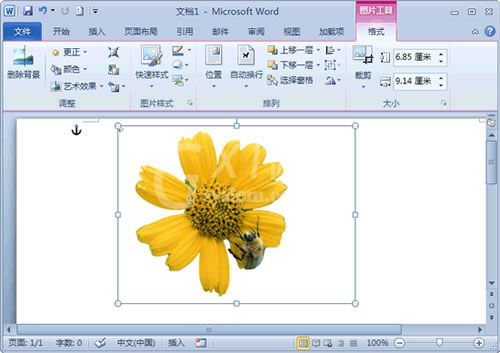 word2010去除图片背景的使用方法截图