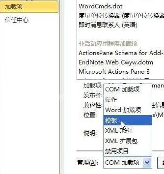 word2010删除菜单中MathTye加载项的简单方法截图