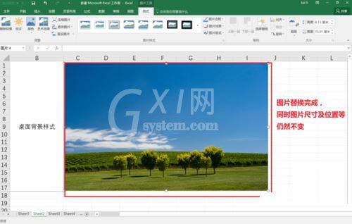 excel2016替换图片的操作步骤截图