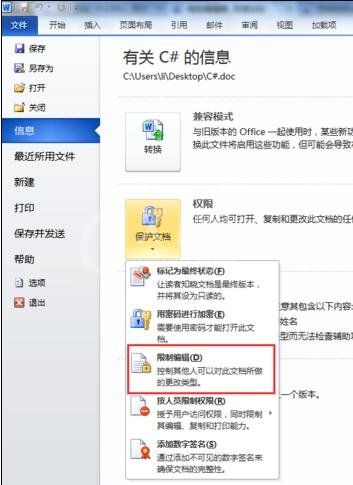 word2010文档进行锁定的操作方法截图