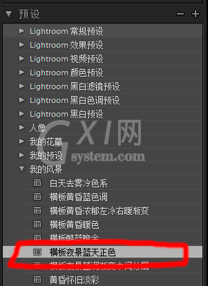 Lightroom导出保存预设的操作步骤截图