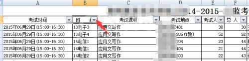 excel2007筛选信息的操作方法截图