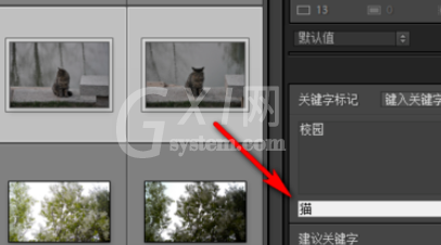 Lightroom为照片添上关键字的具体教程截图