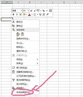 excel2007设置全屏显示的操作教程截图