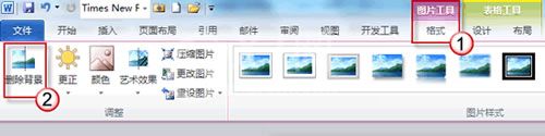 word2010删除图片背景的详细步骤截图