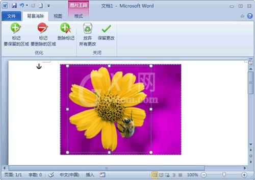 word2010删除图片背景的详细步骤截图