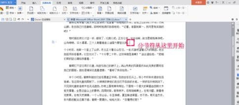 word2013插入分节符的操作教程截图