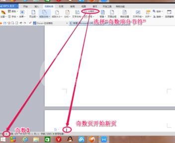 word2013插入分节符的操作教程截图