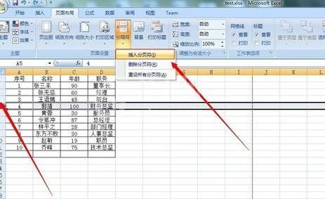 excel2007设置分页符的详细操作教程截图