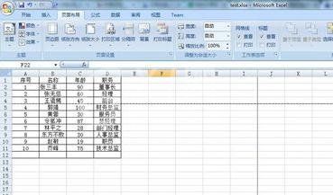 excel2007设置分页符的详细操作教程截图