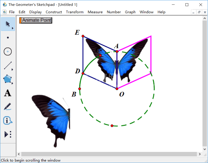 几何画板做出蝴蝶动画的详细过程截图