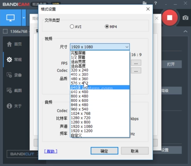 Bandicam设置录制视频尺寸的使用教程截图