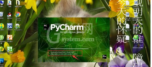 PyCharm查看有效期的操作方法截图