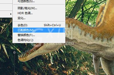 Adobe Photoshop把图片融入背景的使用过程截图