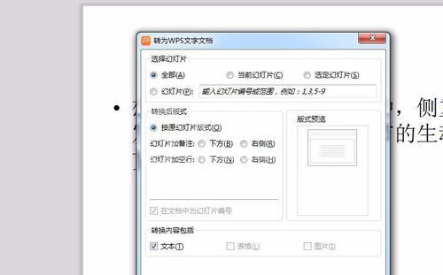 PowerPoint Viewer转成word文件的详细过程截图