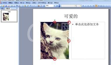 ppt2013设置文字环绕效果的简单操作截图