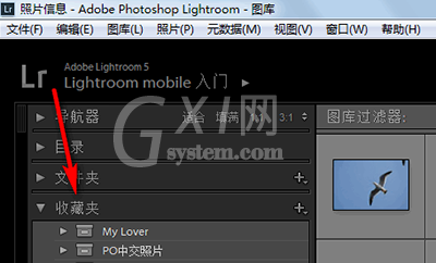 Lightroom建立收藏夹集及收藏夹的操作方法截图