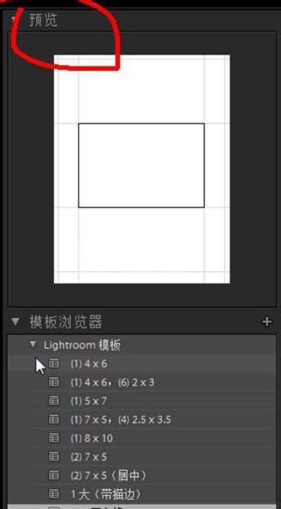 Lightroom制作漂亮拼接模卡的详细方法截图