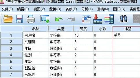 SPSS定义变量的操作步骤截图