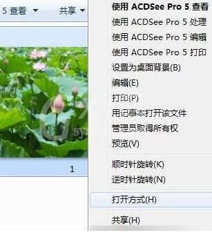 ACDSee快速浏览图片文件夹的简单操作方法截图