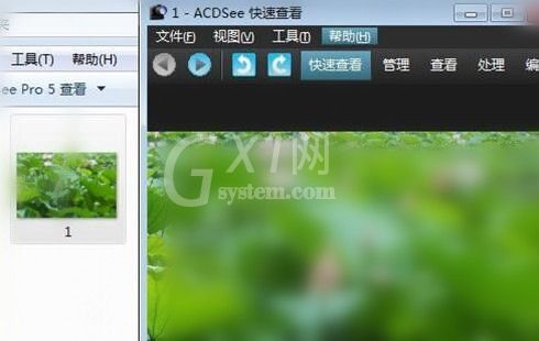 ACDSee快速浏览图片文件夹的简单操作方法截图