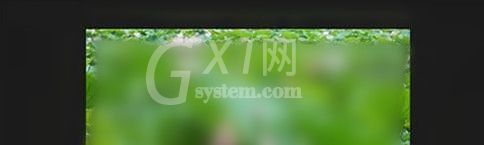 ACDSee快速浏览图片文件夹的简单操作方法截图