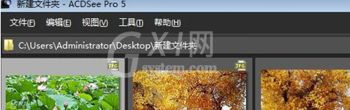 ACDSee快速浏览图片文件夹的简单操作方法截图