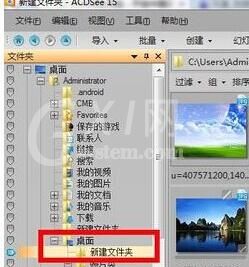 ACDSee批量改变图片大小的操作过程截图