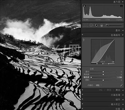 lightroom用色调曲线修图的详细教程分享截图