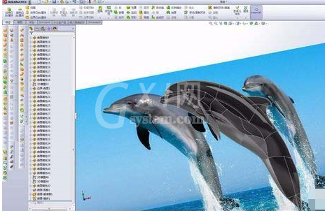 Solidworks绘制海豚的详细操作步骤截图