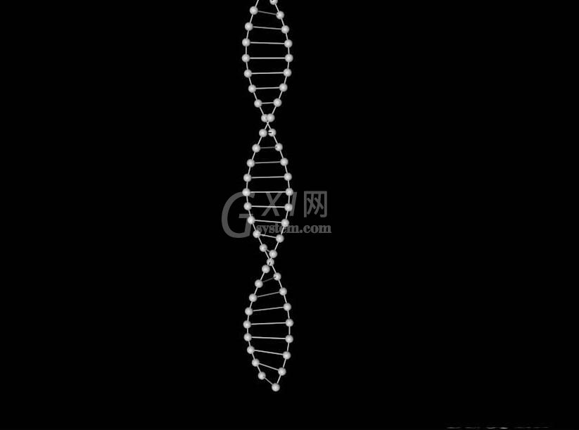 C4D绘制DNA双螺旋图形的操作步骤截图