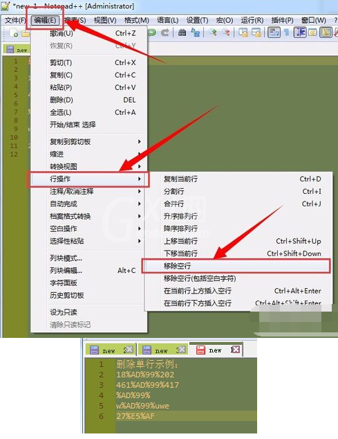 Notepad++删除空行的操作步骤截图