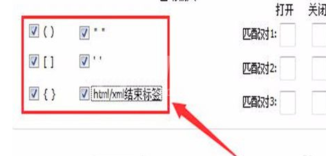 Notepad++设置自动输入的操作步骤截图