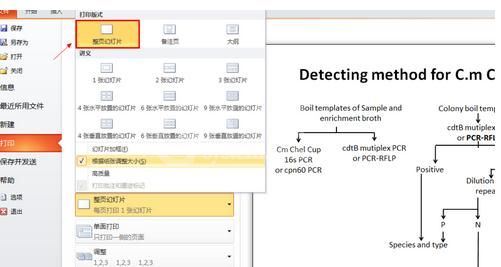 PowerPoint 2013打印占满整张纸的设置方法截图