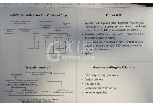 PowerPoint 2013打印占满整张纸的设置方法截图